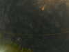 20241005003814-G0016756.JPG