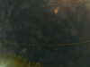 20241005003829-G0016757.JPG
