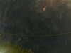 20241005003931-G0016761.JPG
