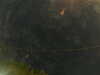 20241005003946-G0016762.JPG
