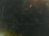 20241005004016-G0016764.JPG