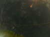20241005004118-G0016768.JPG