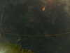 20241005004203-G0016771.JPG
