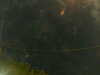 20241005004219-G0016772.JPG