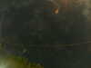 20241005004234-G0016773.JPG