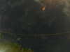 20241005004305-G0016775.JPG