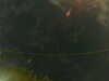 20241005004335-G0016777.JPG