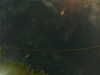 20241005004406-G0016779.JPG