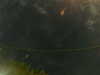 20241005004537-G0016785.JPG