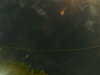 20241005004552-G0016786.JPG