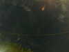 20241005004608-G0016787.JPG