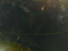 20241005004623-G0016788.JPG