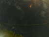 20241005004638-G0016789.JPG