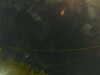 20241005004654-G0016790.JPG