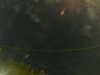 20241005004709-G0016791.JPG