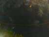 20241005005058-G0016806.JPG