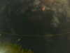 20241005005214-G0016811.JPG
