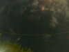 20241005005229-G0016812.JPG
