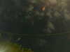 20241005005416-G0016819.JPG