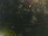 20241005005431-G0016820.JPG