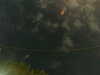 20241005005517-G0016823.JPG
