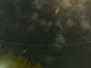 20241005005533-G0016824.JPG