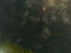 20241005005548-G0016825.JPG