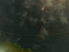 20241005005603-G0016826.JPG