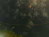 20241005005618-G0016827.JPG