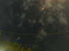 20241005005634-G0016828.JPG