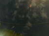 20241005005704-G0016830.JPG