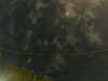 20241005005805-G0016834.JPG