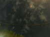 20241005005821-G0016835.JPG