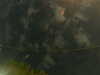 20241005005922-G0016839.JPG