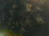 20241005005952-G0016841.JPG