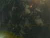 20241005010023-G0016843.JPG