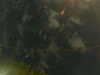 20241005010038-G0016844.JPG