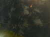 20241005010053-G0016845.JPG