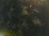 20241005010109-G0016846.JPG