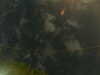 20241005010124-G0016847.JPG