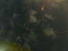20241005010139-G0016848.JPG