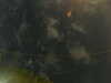 20241005010154-G0016849.JPG