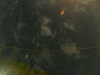 20241005010210-G0016850.JPG