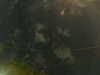 20241005010326-G0016855.JPG