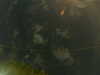 20241005010341-G0016856.JPG