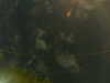 20241005010357-G0016857.JPG