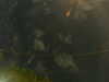 20241005010412-G0016858.JPG