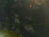 20241005010427-G0016859.JPG