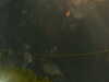 20241005010644-G0016868.JPG