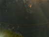 20241005010917-G0016878.JPG